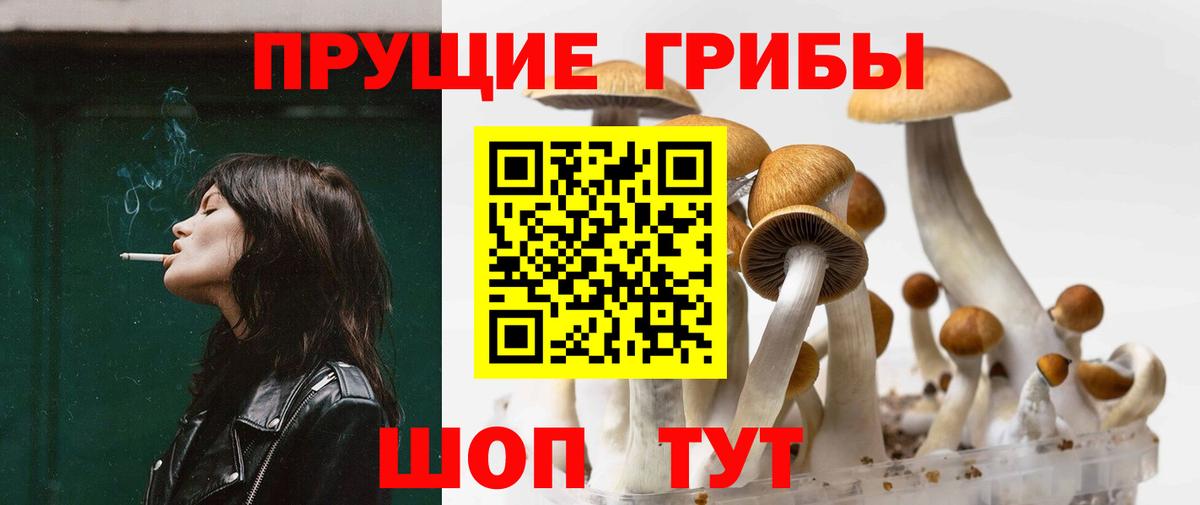 Псилоцибиновые грибы Cubensis  Вход с VPN  Владикавказ 