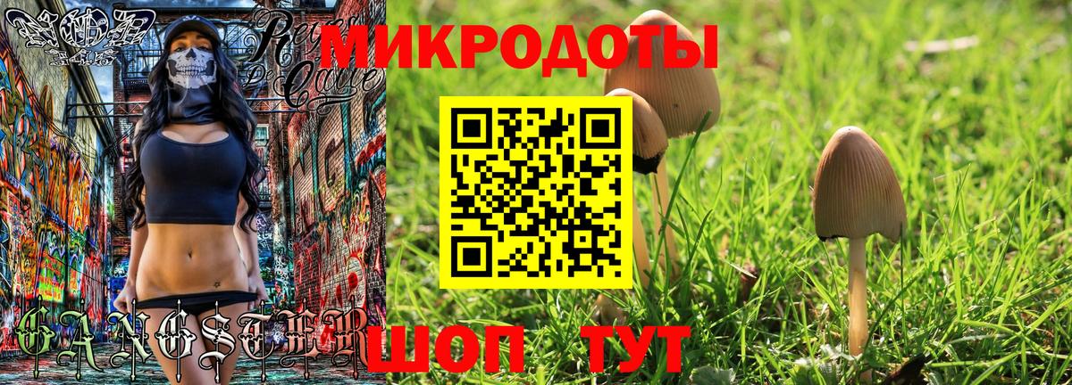 Галлюциногенные грибы MAGIC MUSHROOMS Владикавказ